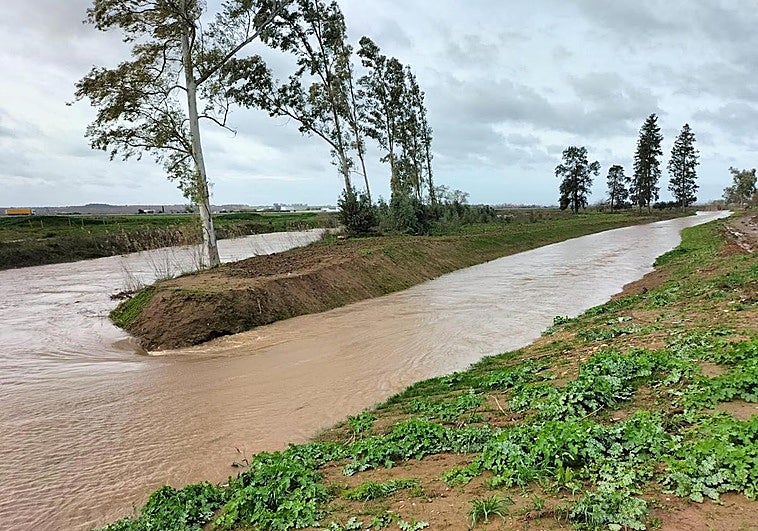 La recuperación del río Limonetes evitó inundaciones en Talavera y Balboa durante una crecida histórica